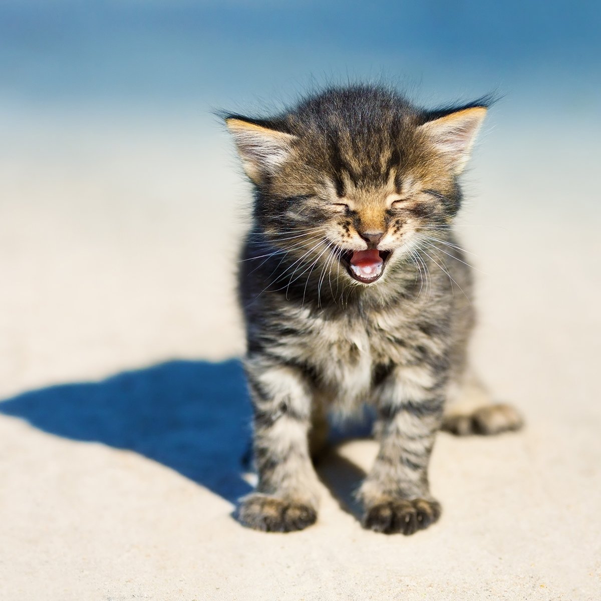 Small Steps Quotes: Wisdom For Taking The First Step